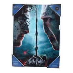 Harry Potter Glass Poster Harry & Voldemort 30 x 40 cm