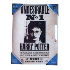 Harry Potter Glass Poster Undesirable No. 1 30 x 40 cm