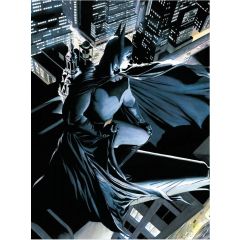 DC Comics Glass Poster Batman Watcher 30 x 40 cm