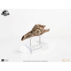 Jurassic Park III Prop Replica 1/1 Velociraptor Resonance Chamber 18 cm