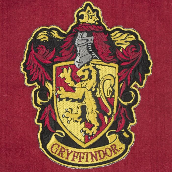 Harry Potter - Gryffindor banner en vlag