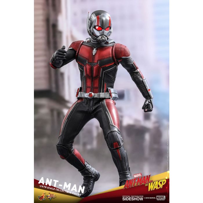 Hot Toys: Ant-Man and The Wasp - Ant-Man 1:6 scale Figure 