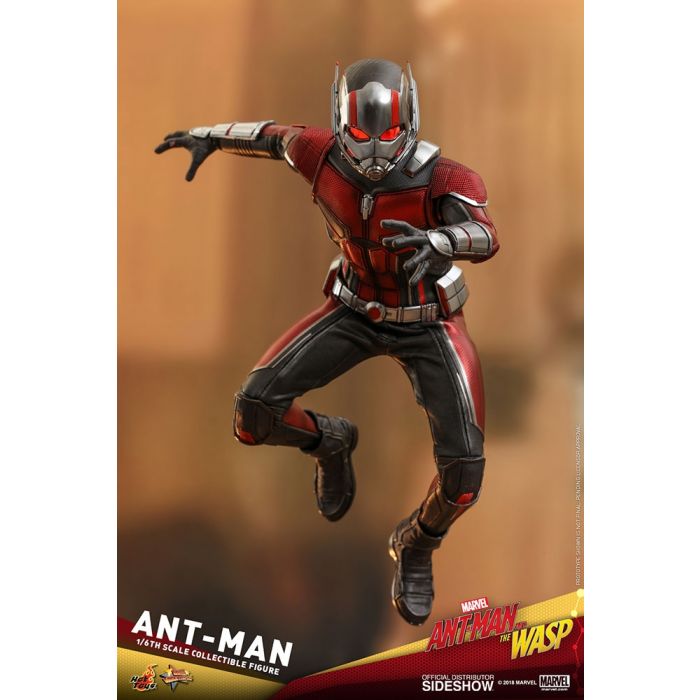Hot Toys: Ant-Man and The Wasp - Ant-Man 1:6 scale Figure 