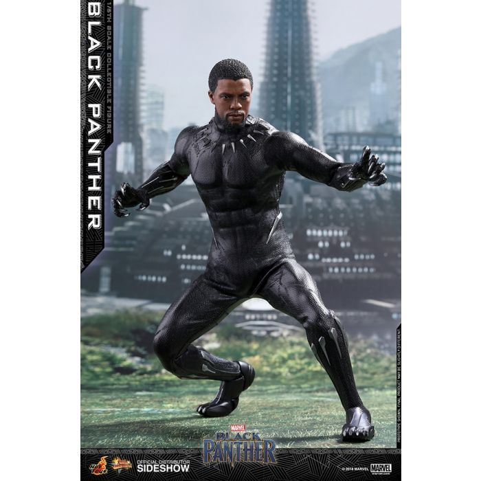Hot Toys: Black Panther Movie - Black Panther 1:6 Scale Figure