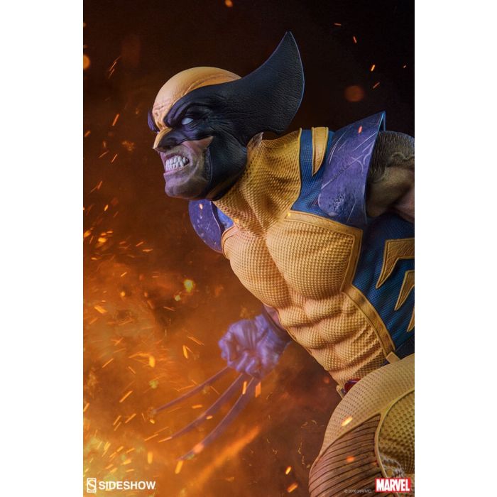 Wolverine Premium Format Statue - Marvel X-Men - Sideshow Collectibles