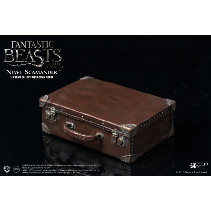 Fantastic Beast and Where to Find Them: Newt Scamander 1:6 Scale Star Ace Figure