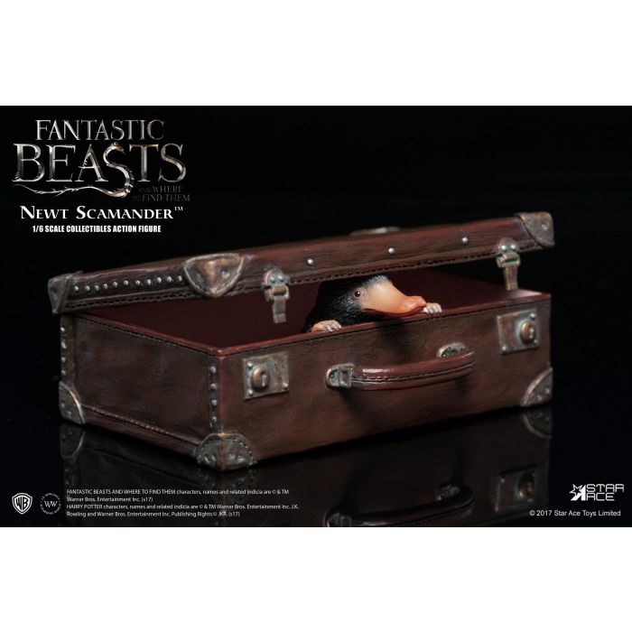 Fantastic Beast and Where to Find Them: Newt Scamander 1:6 Scale Star Ace Figure
