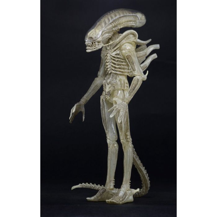 Aliens: '79 Alien - Concept Figure Action Figure