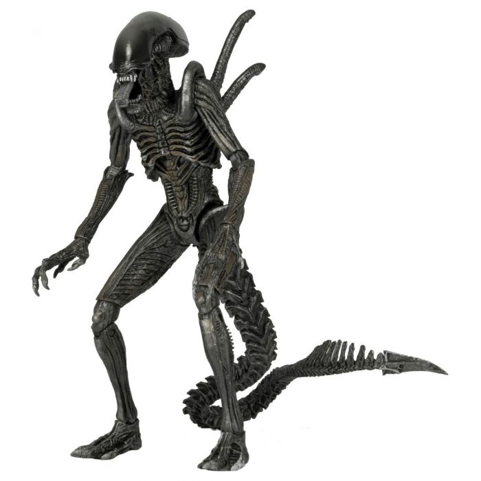 Aliens: Alien vs Predator - Warrior Alien Action Figure