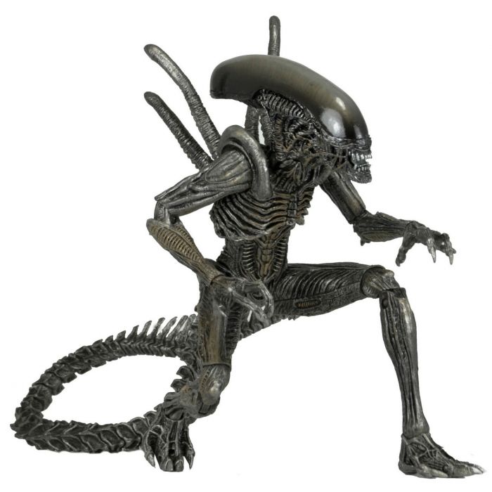 Aliens: Alien vs Predator - Warrior Alien Action Figure